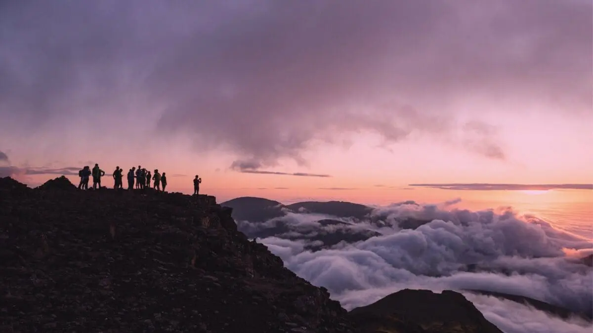 Visit faroe islands mice, vinnuferðavinna meetings events