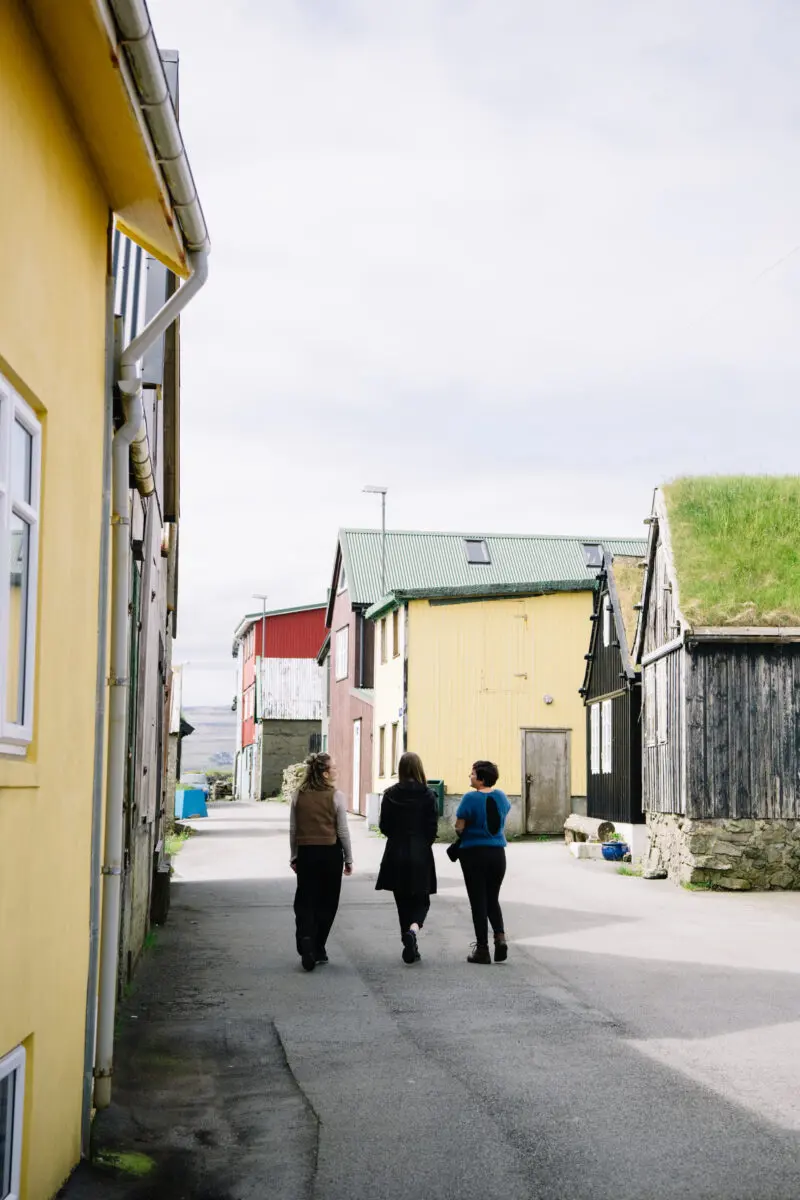 Ferðist í egnum Landi 2020 Myndir tiknar í Juni og Juli