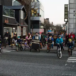 Huldulitt: Súkklurekkjukoyring